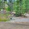 Private Deck Secluded Fairplay Cabin
