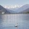 Chalet in Verbania near Lake Maggiore