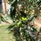 La Casetta con Giardino Privato Check-in 24h vicino Cascate delle Marmore
