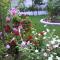 Rooms Veska