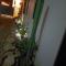 Apartamentos ipap luperon