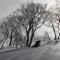 Powder Temple - Hakuba