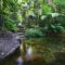 Daintree Cascades - Cape Tribulation