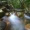 Daintree Cascades - Кейп-Тріб'юлейшен