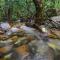 Daintree Cascades - Cape Tribulation