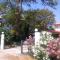 Stelios House