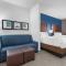 Comfort Suites DFW N-Grapevine