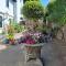 Palm Grove Apartments