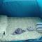 Camping Invernaderito