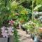 Garden House