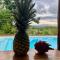 Lodge espiritu del jaguarjundi
