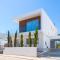 Elite Panoramic View 3Bdr Villa with pool Ayia Napa