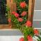 Bertys Cottage Home Stay