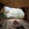 Jungle camping kintamani