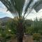 SOFROS VALLEY HILLS CHALET
