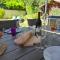 Chalet avec Jacuzzi, billard, jardin clos, proche Paradiski
