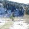 Studio 3 places à côté des pistes, commerces et ESF, balcon, animaux acceptés - FR-1-340-31