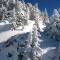 Studio de 19m², balcon sud, 3 couchages, Chamrousse 1750, proche pistes et commerces - FR-1-340-135