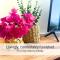 Lovely furnished one-bedroom apartment with an amazing sea view