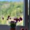 AH Carinthia Mallnitz - Carinthia Appartements