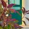 Holiday Home Oliva