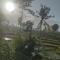bulan homestay