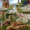 Ca Rosa Bed & Breakfast