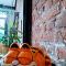 Pet-friendly City Loft Apartment