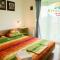 Evergreen Vlas Mamaia Sud