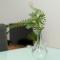 1 bedroom flat in Aglatzia