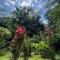 Los Delfines Lodge