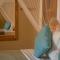 Zen Boutique Retreat & Resort