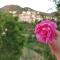 Home in the Hills