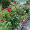 Bed & Breakfast Casa Marinella