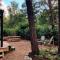Cozy Tiny House in the forest with spacious private garden
