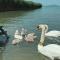 BALATON A KERTBEN - BALATON IN THE GARDEN - Beachfront villas with beautiful view, private beach