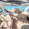 2 hrs private cruise on Sea Ray 350 SLX