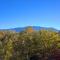 Moonshiners View