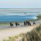 Breeze Ameland