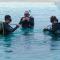 Oceana Dive Resort