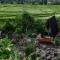 Camani Glamping