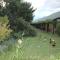 Burra Motor Inn
