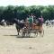 La Nanouche (roulotte en Camargue)