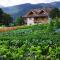 Pension Panorama