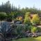 Eco Cabañas Algarrobo