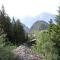 Glacier Views & Ski Trails