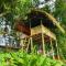 Pemsees Tree Town - Eco Treehouse Hostel