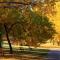 Riverside Retreat - Enjoy Walking Trails, FREE Banff Pass, Gym, Wine & Parking! Work Space Included!