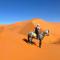 Best Merzouga Sahara Camp