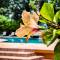 Caribbean Shores Belize